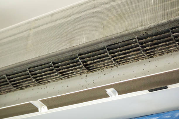 Best Affordable Air Duct Cleaning  in Glen Rock, NJ